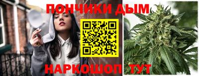 дурь Камышлов